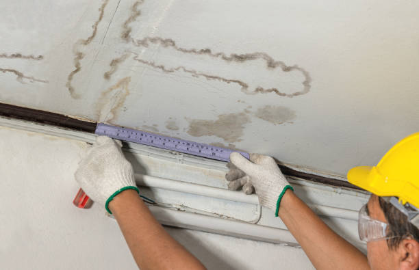 Reliable Water Damage contractor in Ashland, MA by Water Damage Irwin